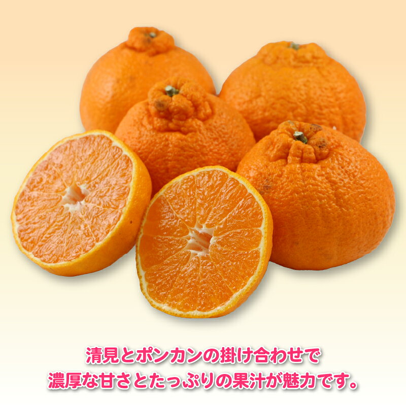 【ふるさと納税】 みかん 不知火 しらぬい 5kg 訳あり 杉本屋 先行予約 果物 くだもの 訳アリ わけあり 訳あり品 フルーツ 柑橘 蜜柑 不知火みかん mikan ミカン ビタミン 甘い 人気返礼品 送料無料 愛媛みかん 愛媛ミカン 産地直送 数量限定 国産 愛媛 宇和島 B010-143009 サムネイル3