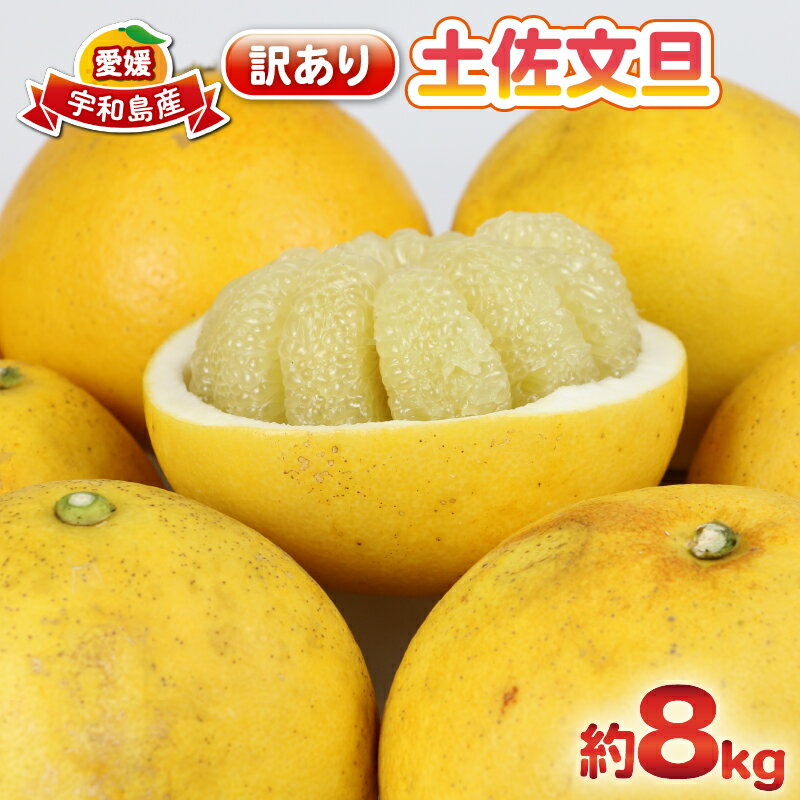 土佐文旦 文旦 訳あり 8kg 杉本屋 先行予約 わけあり 訳あり品 ぶんたん ブンタン 果物 くだもの フルーツ 柑橘 蜜柑 みかん mikan ミカン 美味しい ビタミン デザート 愛媛みかん 愛媛ミカン 産地直送 農家直送 数量限定 国産 愛媛 宇和島 B010-143010