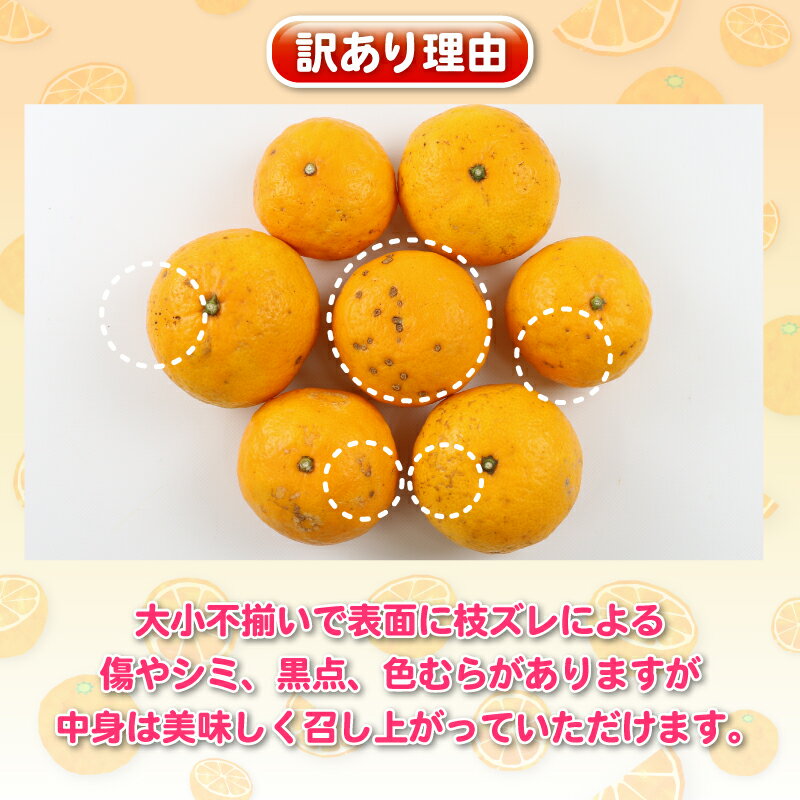 【ふるさと納税】 訳ありみかん ひめのつき 5kg 甘い 香り 爽やか 杉本屋 先行予約 訳あり 訳あり品 わけあり 果物 くだもの フルーツ 柑橘 蜜柑 グルメ お取り寄せ デザート mikan ミカン 愛媛県産 愛媛みかん 愛媛ミカン 産地直送 数量限定 国産 愛媛 宇和島 B010-143007 サムネイル2