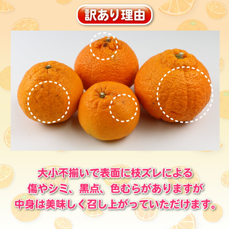 【ふるさと納税】 みかん 不知火 しらぬい 5kg 訳あり 杉本屋 先行予約 果物 くだもの 訳アリ わけあり 訳あり品 フルーツ 柑橘 蜜柑 不知火みかん mikan ミカン ビタミン 甘い 人気返礼品 送料無料 愛媛みかん 愛媛ミカン 産地直送 数量限定 国産 愛媛 宇和島 B010-143009 サムネイル2