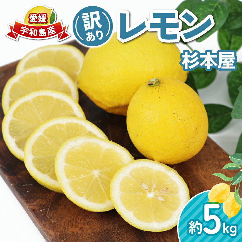 訳あり レモン 5kg 杉本屋 先行予約 わけあり れもん 檸檬 レモン果汁 酸味 爽やか 果実 サワー ジュース チューハイ remon 青レモン れもん 檸檬 果物 くだもの ビタミン フルーツ 柑橘 農家直送 産地直送 数量限定 国産 愛媛 宇和島 B010-143012