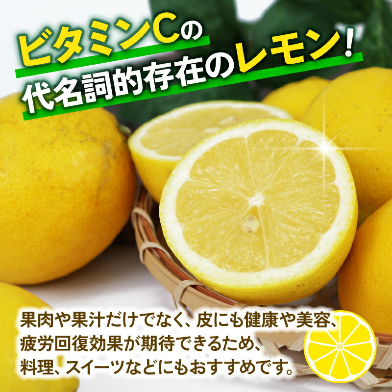 【ふるさと納税】 訳あり レモン 5kg 杉本屋 先行予約 わけあり れもん 檸檬 レモン果汁 酸味 爽やか 果実 サワー ジュース チューハイ remon 青レモン れもん 檸檬 果物 くだもの ビタミン フルーツ 柑橘 農家直送 産地直送 数量限定 国産 愛媛 宇和島 B010-143012 サムネイル3
