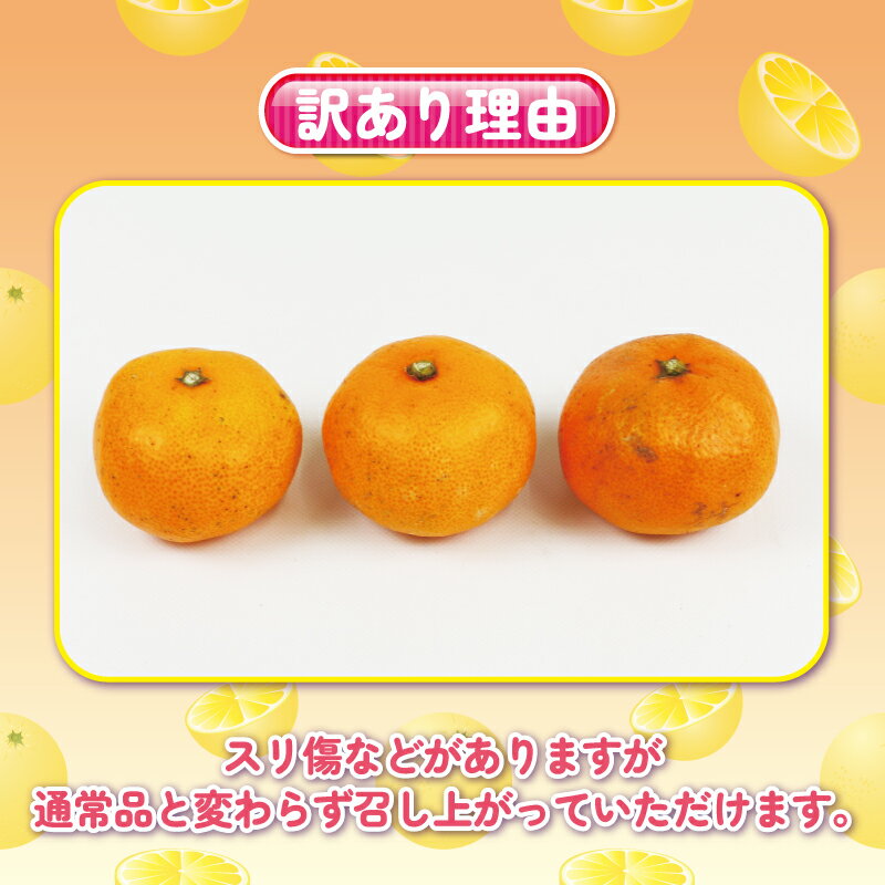 【ふるさと納税】 訳ありミカン 完熟みかん 訳あり 完熟 みかん 早生みかん選べる 内容量 5kg ~10kg 杉本屋 先行予約 完熟 温州みかん みかん ミカン mikan 早生 温州 蜜柑 果物 くだもの フルーツ 愛媛みかん 柑橘 産地直送 数量限定 家庭用 食品ロス削減 国産 愛媛 宇和島 サムネイル2