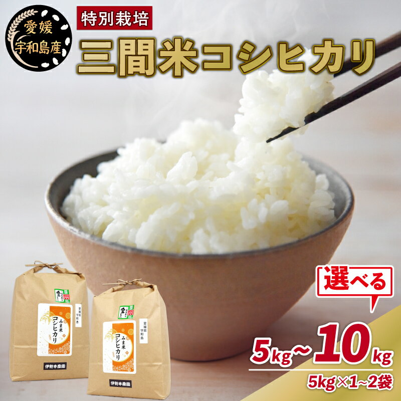 特別栽培 おこめ 特別栽培米 三間米 コシヒカリ 選べる 計 5kg ~ 10kg (5kg×1~2袋) 伊勢本農園 えらべる 米 お米 ごはん こめ コメ ※ kome 白米 精米 お弁当 ブランド米 ふっくら ツヤツヤ ライス 農家直送 産地直送 数量限定 国産 愛媛 宇和島