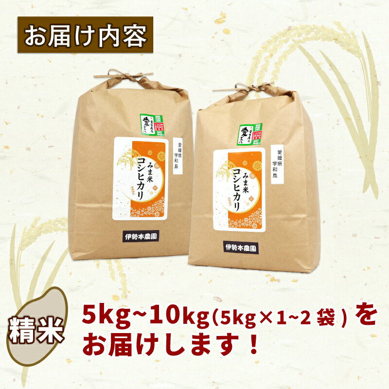 【ふるさと納税】 特別栽培 おこめ 特別栽培米 三間米 コシヒカリ 選べる 計 5kg ~ 10kg (5kg×1~2袋) 伊勢本農園 えらべる 米 お米 ごはん こめ コメ ※ kome 白米 精米 お弁当 ブランド米 ふっくら ツヤツヤ ライス 農家直送 産地直送 数量限定 国産 愛媛 宇和島 - 画像2