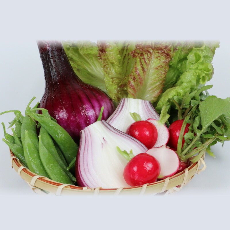 【ふるさと納税】 季節のおまかせ 野菜 セット はまだ農園 やさい 野菜セット 美味しい 新鮮 小分け 季節 お任せ 食べ比べ 旬野菜 旬 詰め合わせ 季節限定 季節野菜 フレッシュ yasai 農家直送 産地直送 数量限定 国産 愛媛 宇和島 F010-139001 - 画像3