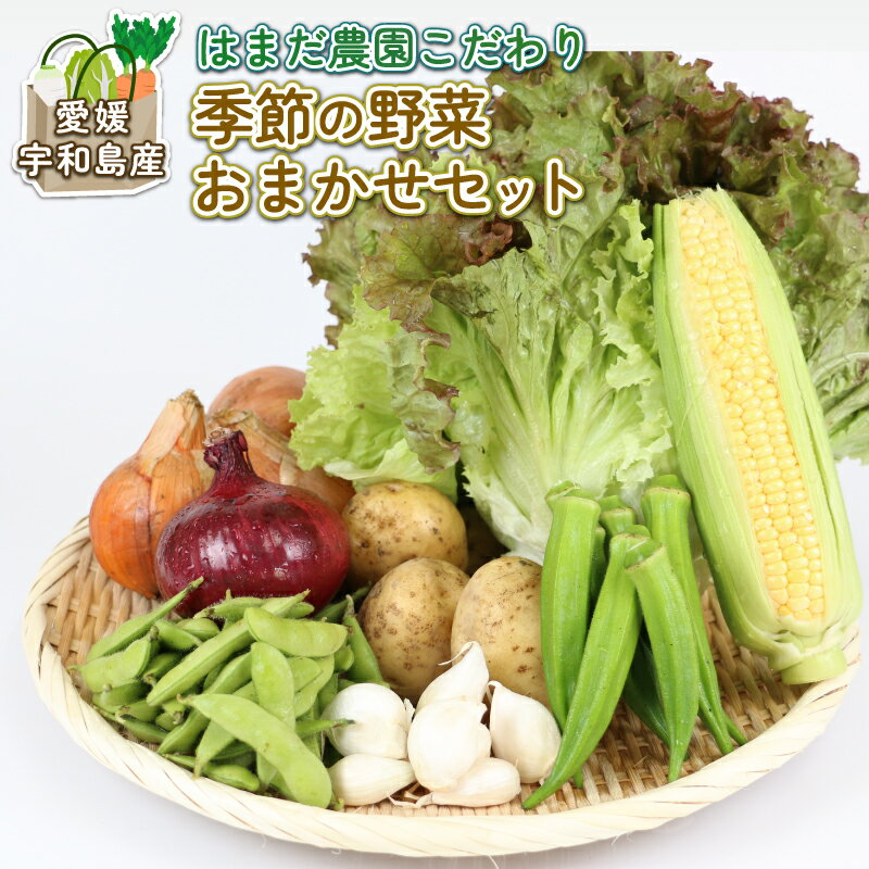 季節のおまかせ 野菜 セット はまだ農園 やさい 野菜セット 美味しい 新鮮 小分け 季節 お任せ 食べ比べ 旬野菜 旬 詰め合わせ 季節限定 季節野菜 フレッシュ yasai 農家直送 産地直送 数量限定 国産 愛媛 宇和島 F010-139001