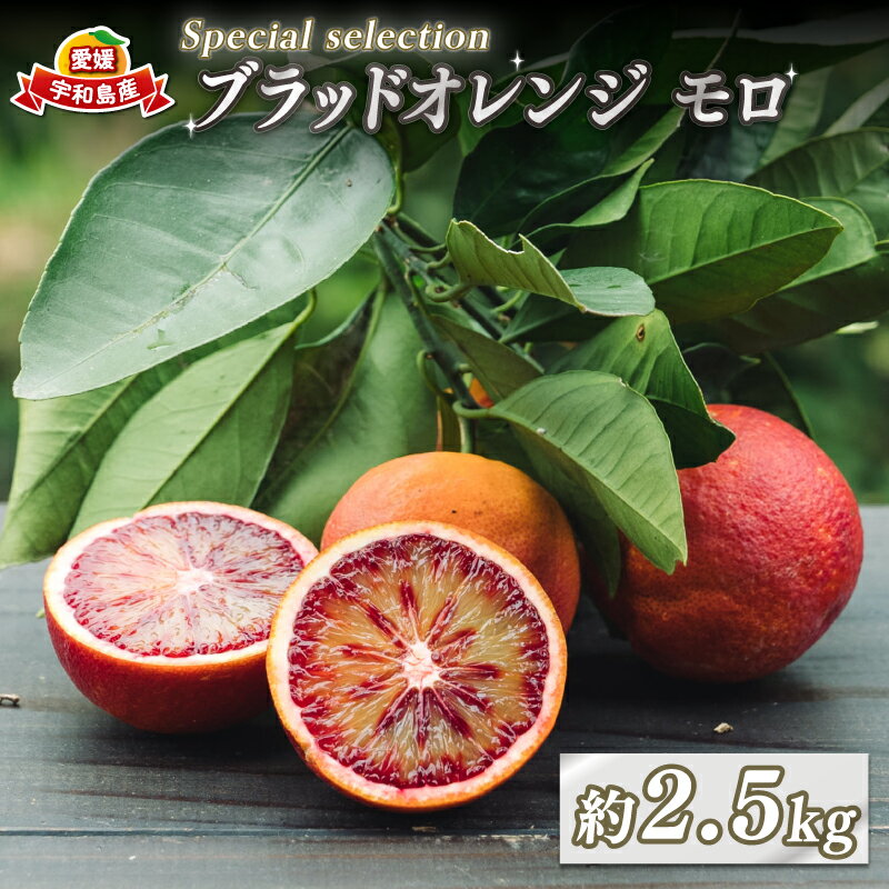 ブラッドオレンジ モロ Special selection 2.5kg コルレオファーム 先行予約 果物フルーツ ブラッド オレンジ 柑橘 みかん 蜜柑 mikan 愛媛ミカン 愛媛蜜柑 愛媛みかん 農家直送 産地直送 数量限定 国産 愛媛 宇和島 B010-145004