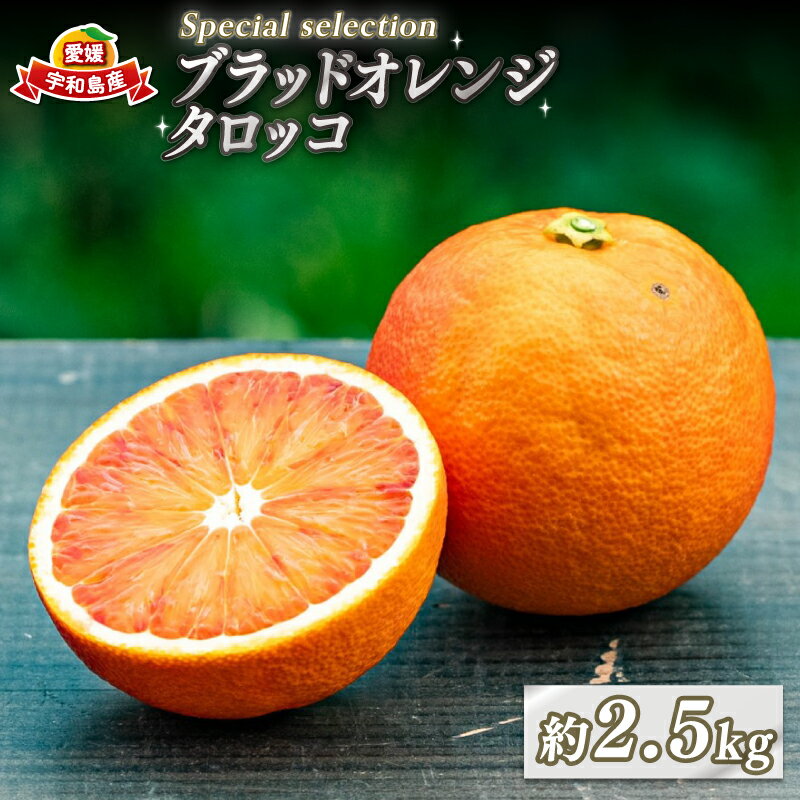 ブラッドオレンジ タロッコ Special selection 2.5kg コルレオファーム 先行予約 果物 フルーツ ブラッド オレンジ 柑橘 みかん mikan 愛媛ミカン 愛媛蜜柑 愛媛みかん 農家直送 産地直送 数量限定 国産 愛媛 宇和島 B010-145005