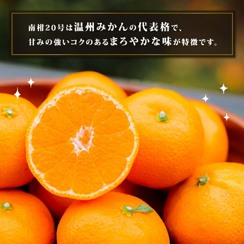 【ふるさと納税】 みかん 南柑20号 温州みかん 5kg コルレオファーム 先行予約 フルーツ 愛媛みかん 柑橘 蜜柑 mikan 温州 果物 くだもの 人気のみかん 美味しいみかん 濃厚みかん 愛媛県産 温州蜜柑 産地直送 農家直送 数量限定 先行予約 国産 愛媛 宇和島 B010-145008 サムネイル3