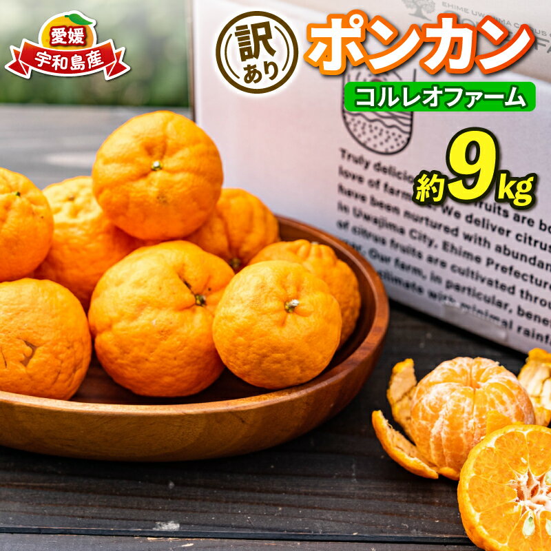 訳あり ポンカン 9kg コルレオファーム わけあり訳あり品 訳有り 訳アリ 愛媛みかん 愛媛ミカン みかん フルーツ 柑橘 蜜柑 mikan 果物 くだもの 甘い コク 人気のみかん 美味しい 産地直送 数量限定 先行予約 国産 愛媛 愛媛県 宇和島 B012-145010
