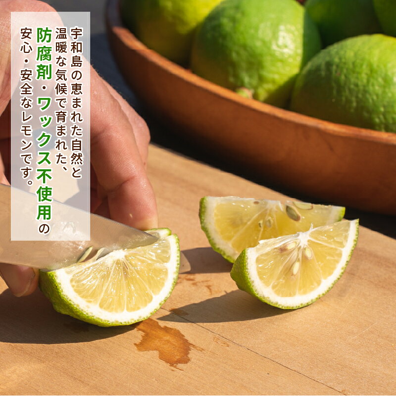 【ふるさと納税】 レモン 選べる 内容量 2.5kg ~ 5kg コルレオファーム 国産 防腐剤 ・ ワックス 不使用 国産レモン 先行予約 青レモン れもん remon 檸檬 果物 くだもの ビタミン サワー ジュース チューハイ 健康 フルーツ 柑橘 農家直送 産地直送 数量限定 愛媛 宇和島 サムネイル3