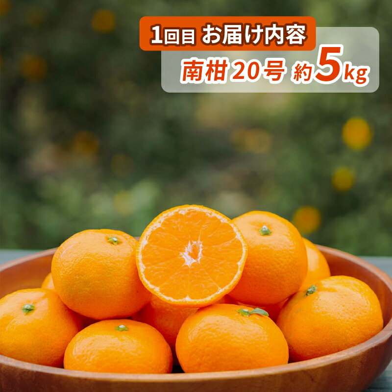 【ふるさと納税】 シトラス フルーツ ＆ ジュース 4回 定期便 コルレオファーム 南柑20号 ブラッドオレンジ モロ 甘平 はるか ポンカン タロッコ せとか 清見 不知火 シトラスジュース 720ml 3本 詰め合わせ みかん 産地直送 数量限定 先行予約 愛媛 宇和島 B052-145019 サムネイル2