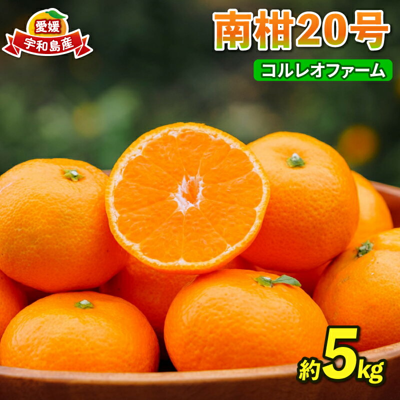 みかん 南柑20号 温州みかん 5kg コルレオファーム 先行予約 フルーツ 愛媛みかん 柑橘 蜜柑 mikan 温州 果物 くだもの 人気のみかん 美味しいみかん 濃厚みかん 愛媛県産 温州蜜柑 産地直送 農家直送 数量限定 先行予約 国産 愛媛 宇和島 B010-145008