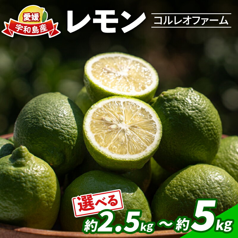 レモン 選べる 内容量 2.5kg ~ 5kg コルレオファーム 国産 防腐剤 ・ ワックス 不使用 国産レモン 先行予約 青レモン れもん remon 檸檬 果物 くだもの ビタミン サワー ジュース チューハイ 健康 フルーツ 柑橘 農家直送 産地直送 数量限定 愛媛 宇和島