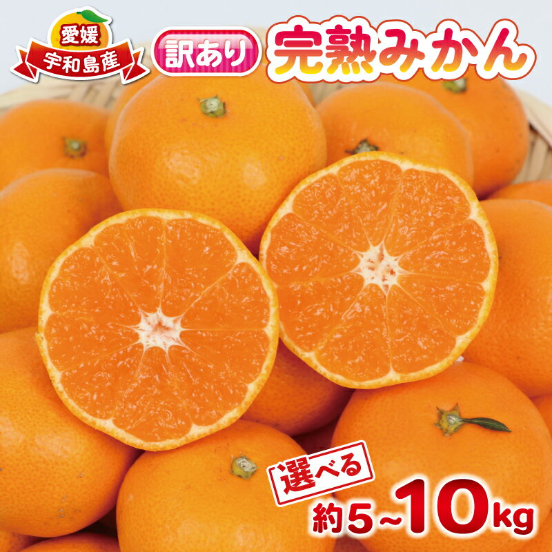 訳ありミカン 完熟みかん 訳あり 完熟 みかん 早生みかん選べる 内容量 5kg ~10kg 杉本屋 先行予約 完熟 温州みかん みかん ミカン mikan 早生 温州 蜜柑 果物 くだもの フルーツ 愛媛みかん 柑橘 産地直送 数量限定 家庭用 食品ロス削減 国産 愛媛 宇和島