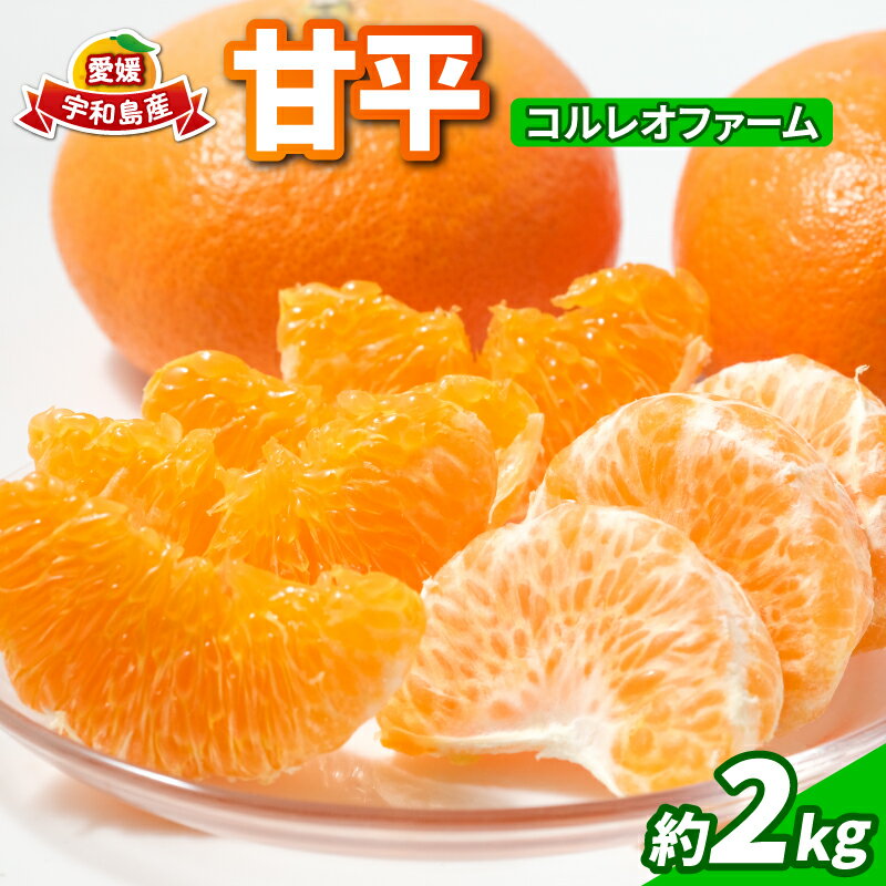 甘平 2kg コルレオファーム 愛媛みかん 甘い 平たい 高級 高級柑橘 希少 限定 品種 シャキシャキ 果物 くだもの 先行予約 mikan フルーツ 柑橘 かんきつ みかん ミカン 蜜柑 かんぺい お取り寄せ 産地直送 数量限定 国産 愛媛 愛媛県 宇和島 B018-145022