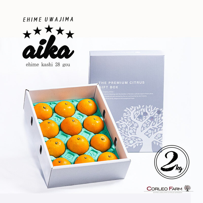 愛果28号 2kg コルレオファーム 愛媛みかん 先行予約 あいか 高級柑橘 愛媛蜜柑 みかん フルーツ 柑橘 蜜柑 mikan 濃厚 プルプル 美味しい 果物 くだもの 美味しいみかん 濃厚みかん 産直 産地直送 数量限定 国産 愛媛 愛媛県 宇和島 B018-145021
