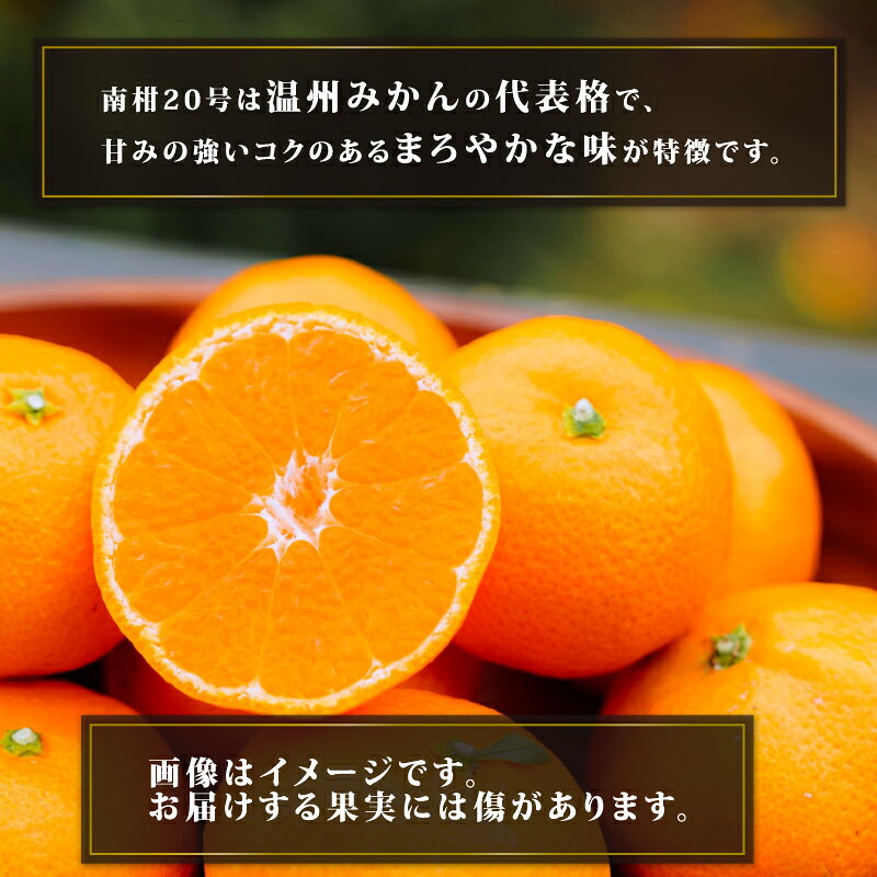【ふるさと納税】 訳あり 南柑20号 温州みかん 9kg コルレオファーム わけあり 愛媛ミカン 愛媛みかん みかん フルーツ 柑橘 蜜柑 mikan 温州 果物 くだもの 人気のみかん 美味しいみかん 濃厚みかん 温州蜜柑 産地直送 数量限定 先行予約 国産 愛媛 宇和島 B010-145009 サムネイル3