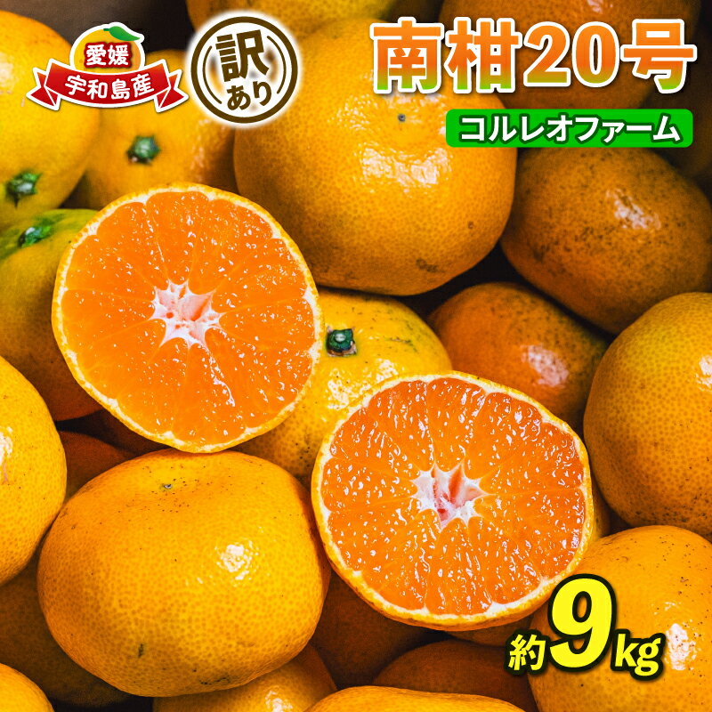 訳あり 南柑20号 温州みかん 9kg コルレオファーム わけあり 愛媛ミカン 愛媛みかん みかん フルーツ 柑橘 蜜柑 mikan 温州 果物 くだもの 人気のみかん 美味しいみかん 濃厚みかん 温州蜜柑 産地直送 数量限定 先行予約 国産 愛媛 宇和島 B010-145009