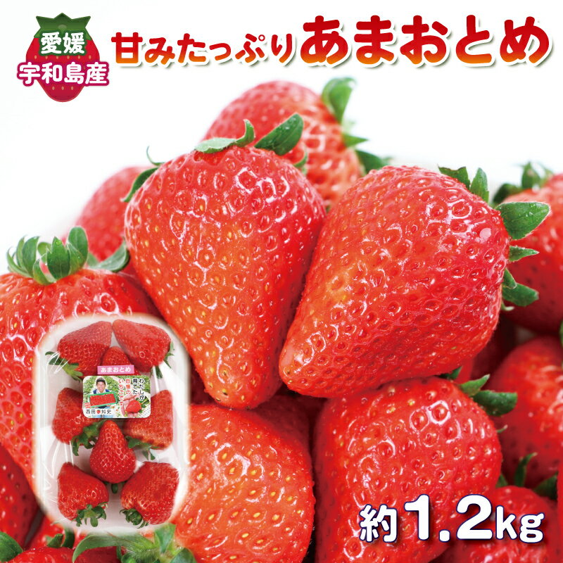 イチゴ 苺 甘み たっぷり あまおとめ 1.2kg (300g×4パック) 西田農園 愛媛 オリジナル 品種 さちのか × とちおとめ 先行予約 甘い あまい 果物 フルーツ 朝食 ヨーグルト スムージー デザート スイーツ ジャム おやつ 数量限定 国産 宇和島 F015-124001
