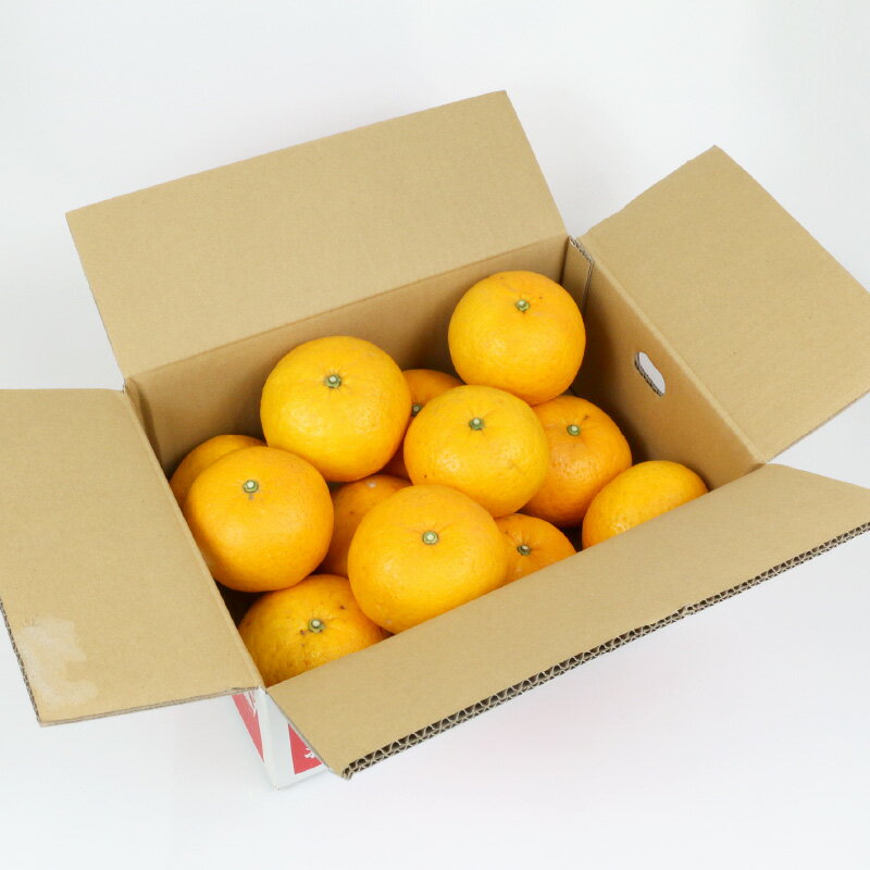 【ふるさと納税】 愛媛みかん 甘夏 9kg 家庭用 誉農園 初夏の蜜柑 夏みかん 甘夏みかん 甘夏柑 マーマレード あまなつ 愛媛ミカン 愛媛蜜柑 みかん 蜜柑 mikan 果物 くだもの フルーツ 柑橘 みかん 蜜柑 数量限定 農家直送 産地直送 国産 愛媛 宇和島 B012-138005 サムネイル2