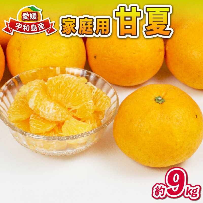 愛媛みかん 甘夏 9kg 家庭用 誉農園 初夏の蜜柑 夏みかん 甘夏みかん 甘夏柑 マーマレード あまなつ 愛媛ミカン 愛媛蜜柑 みかん 蜜柑 mikan 果物 くだもの フルーツ 柑橘 みかん 蜜柑 数量限定 農家直送 産地直送 国産 愛媛 宇和島 B012-138005