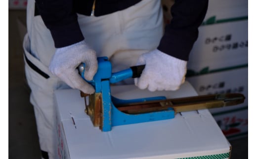 【ふるさと納税】 河内晩柑 家庭用 7kg 河野農園 先行予約 さわやか柑橘 晩柑 愛媛みかん かわちばんかん ばんかん 和製 グレープフルーツ 果物 くだもの フルーツ 柑橘 みかん ミカン 蜜柑 mikan ジューシー 美味しい 愛媛県産 産直 数量限定 国産 愛媛 宇和島 B010-147001 サムネイル3