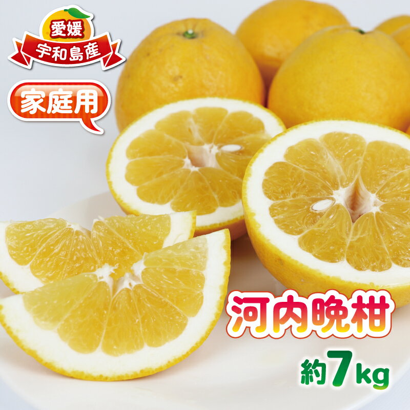 河内晩柑 家庭用 7kg 河野農園 先行予約 さわやか柑橘 晩柑 愛媛みかん かわちばんかん ばんかん 和製 グレープフルーツ 果物 くだもの フルーツ 柑橘 みかん ミカン 蜜柑 mikan ジューシー 美味しい 愛媛県産 産直 数量限定 国産 愛媛 宇和島 B010-147001