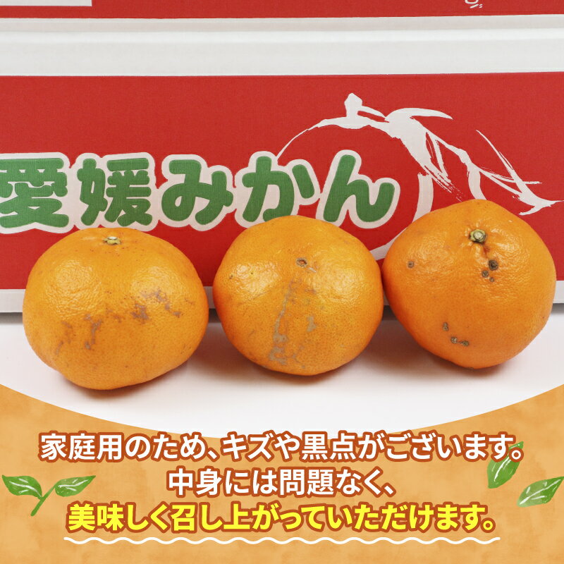 【ふるさと納税】 甘平 家庭用 3.5kg 植村農園 先行予約 かんぺい 高級 希少 ブランド シャキシャキ 限定 品種 甘い 果物 フルーツ 柑橘 農家直送 産地直送 数量限定 国産 愛媛 宇和島 B010-153006 サムネイル2