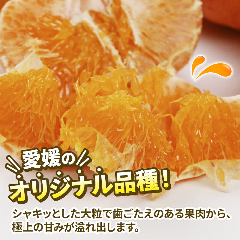 【ふるさと納税】 甘平 家庭用 3.5kg 植村農園 先行予約 かんぺい 高級 希少 ブランド シャキシャキ 限定 品種 甘い 果物 フルーツ 柑橘 農家直送 産地直送 数量限定 国産 愛媛 宇和島 B010-153006 サムネイル3