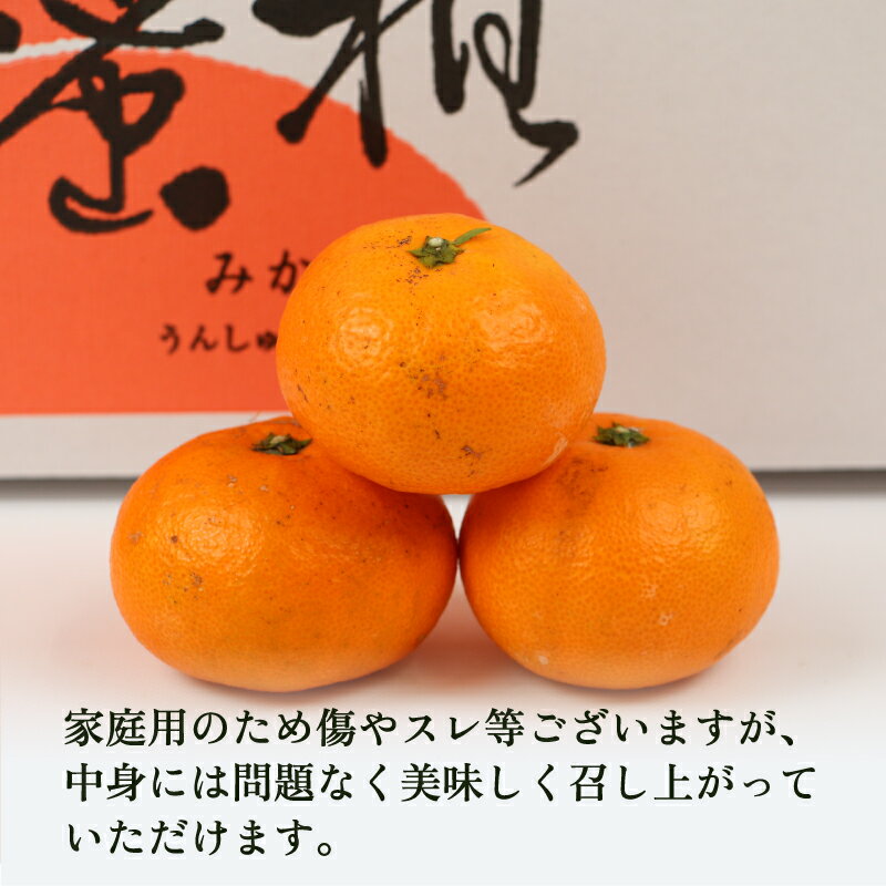 【ふるさと納税】 【先行予約】 温州みかん 家庭用 9kg 南柑20号 みかん 植村農園 mikan 温州ミカン 愛媛ミカン 愛媛蜜柑 愛媛みかん 温州 蜜柑 果物 くだもの フルーツ 柑橘 数量限定 国産 愛媛 愛媛産 宇和島 送料無料 【2025年11月下旬〜2026年1月上旬発送】 B010-153004 - 画像2