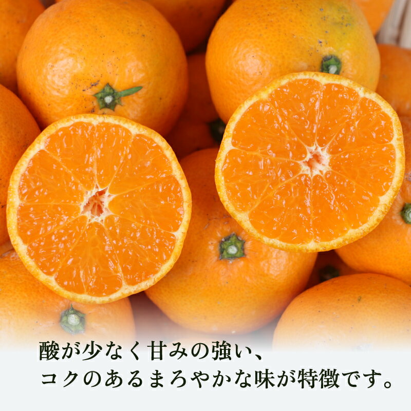 【ふるさと納税】 【先行予約】 温州みかん 家庭用 9kg 南柑20号 みかん 植村農園 mikan 温州ミカン 愛媛ミカン 愛媛蜜柑 愛媛みかん 温州 蜜柑 果物 くだもの フルーツ 柑橘 数量限定 国産 愛媛 愛媛産 宇和島 送料無料 【2025年11月下旬〜2026年1月上旬発送】 B010-153004 - 画像3