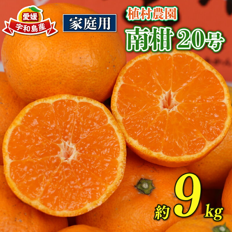 【先行予約】 温州みかん 家庭用 9kg 南柑20号 みかん 植村農園 mikan 温州ミカン 愛媛ミカン 愛媛蜜柑 愛媛みかん 温州 蜜柑 果物 くだもの フルーツ 柑橘 数量限定 国産 愛媛 愛媛産 宇和島 送料無料 【2025年11月下旬〜2026年1月上旬発送】 B010-153004