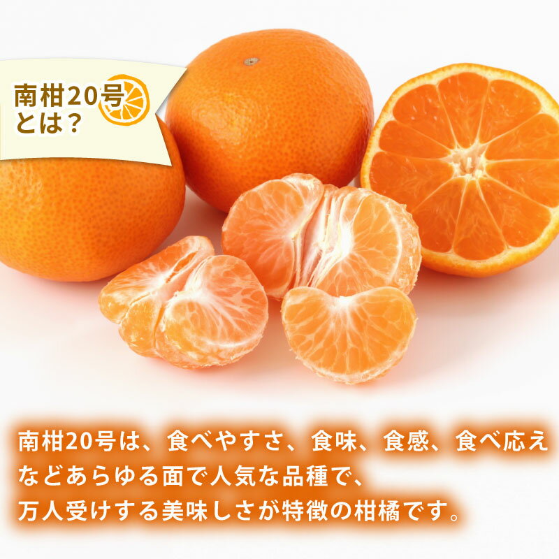 【ふるさと納税】 贈答用 南柑20号 5kg 植村農園 温州 温州みかん みかん 果物 くだもの フルーツ 柑橘 蜜柑 贈答 ギフト プレゼント 農家直送 産地直送 数量限定 国産 愛媛 宇和島 B010-153009 サムネイル2