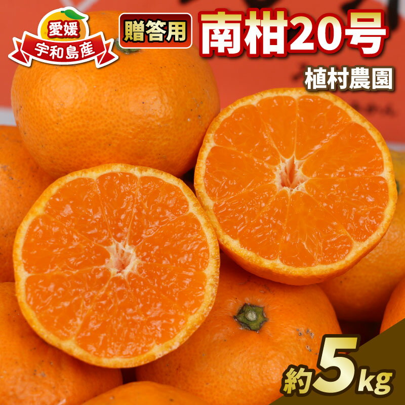 贈答用 南柑20号 5kg 植村農園 温州 温州みかん みかん 果物 くだもの フルーツ 柑橘 蜜柑 贈答 ギフト プレゼント 農家直送 産地直送 数量限定 国産 愛媛 宇和島 B010-153009