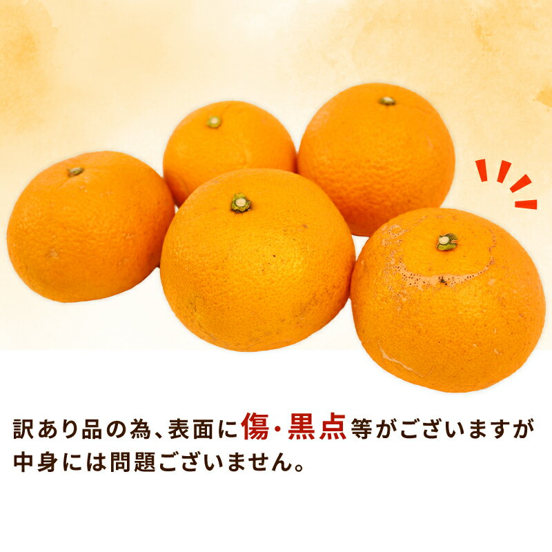 【ふるさと納税】 はっさく 訳あり 八朔 10~12kg 先行予約 ふるくとファーム かなこちゃんち 果物 くだもの フルーツ 柑橘 みかん 蜜柑 mikan わけあり 訳アリ 訳あり品 ビタミンC 愛媛ミカン 愛媛蜜柑 愛媛みかん 農家直送 産地直送 数量限定 国産 愛媛 宇和島 B015-037003 サムネイル2