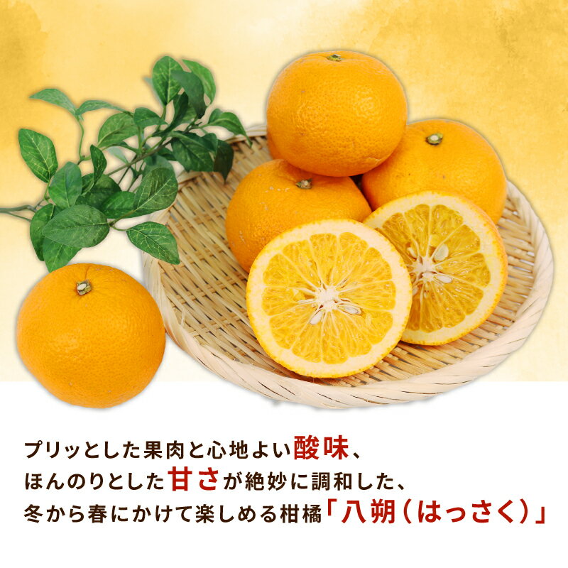 【ふるさと納税】 はっさく 訳あり 八朔 10~12kg 先行予約 ふるくとファーム かなこちゃんち 果物 くだもの フルーツ 柑橘 みかん 蜜柑 mikan わけあり 訳アリ 訳あり品 ビタミンC 愛媛ミカン 愛媛蜜柑 愛媛みかん 農家直送 産地直送 数量限定 国産 愛媛 宇和島 B015-037003 サムネイル3