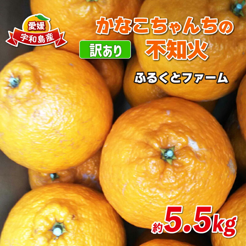 訳あり 不知火 約5.5kg ふるくとファーム しらぬい 先行予約 果物 くだもの わけあり 訳あり品 フルーツ 柑橘 蜜柑 みかん 不知火みかん mikan ミカン グルメ 訳あり品 愛媛みかん 愛媛ミカン 愛媛蜜柑 数量限定 国産 愛媛 宇和島 B010-037008