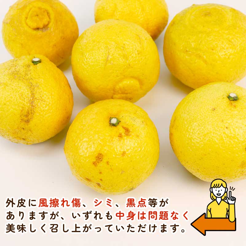 【ふるさと納税】 訳あり はるか みかん 約5.5kg ふるくとファーム 先行予約 サイズ混合 かなこちゃん 果物 くだもの フルーツ 甘い 爽やか 美味しい 柑橘 蜜柑 mikan 愛媛ミカン 愛媛蜜柑 愛媛みかん 訳アリ 訳あり品 数量限定 産地直送 国産 愛媛 宇和島 B010-037007 サムネイル2