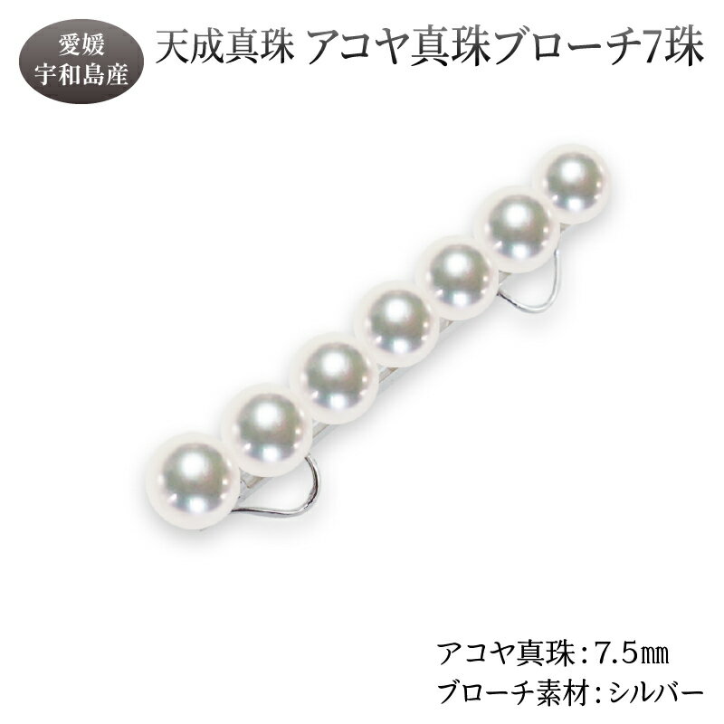 アコヤ真珠 ブローチ 7.5mm 7珠 天成真珠 アクセサリー ファッション ジュエリー akoya 本真珠 真珠 パール 越し物 高級 プレゼント 贈り物 贈答品 贈答用 お祝い 誕生日 成人式 卒業祝 就職祝い 記念日 クリスマス 特産品 国産 愛媛 宇和島 A250-114017