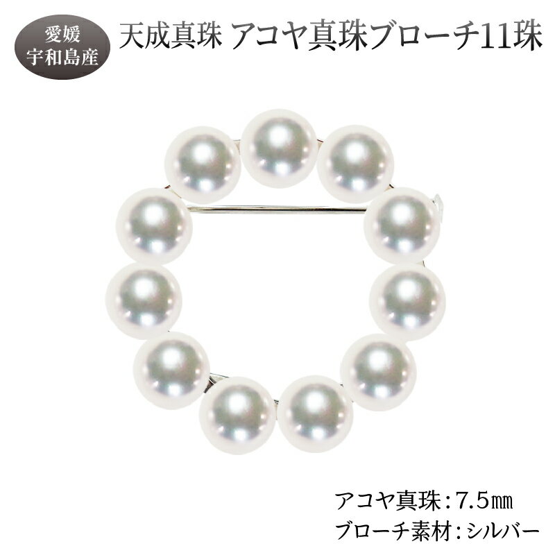 アコヤ真珠 ブローチ 7.5mm 11珠 天成真珠 アクセサリー ファッション ジュエリー akoya 本真珠 真珠 パール 高級 プレゼント 贈り物 贈答品 お祝い 誕生日 成人式 卒業祝 就職祝い 記念日 特産品 国産 愛媛 宇和島 A350-114018
