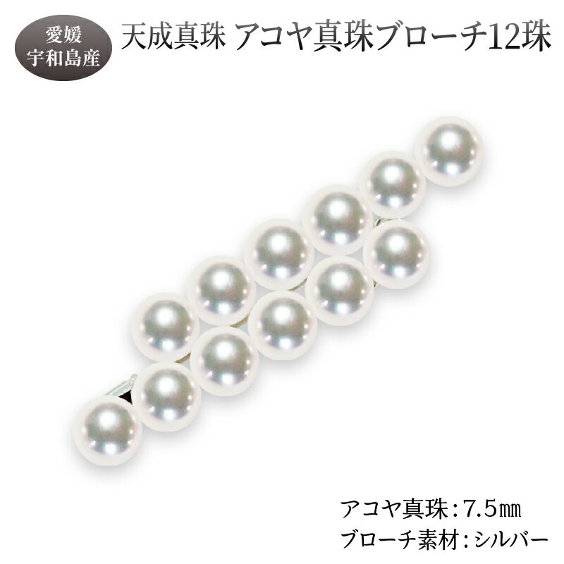 アコヤ真珠 ブローチ 7.5mm 12珠 天成真珠 アクセサリー ファッション akoya 本真珠 真珠 パール 越し物 高級 プレゼント 贈り物 贈答品 贈答用 お祝い 誕生日 成人式 卒業祝 就職祝い 記念日 クリスマス 特産品 国産 愛媛 宇和島 A375-114016