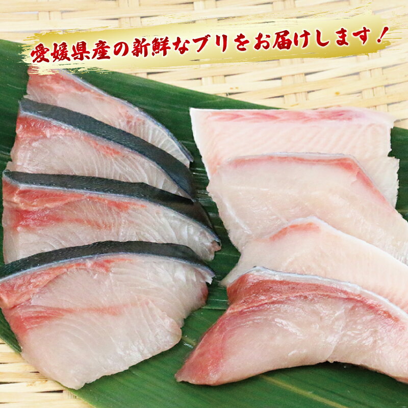 【ふるさと納税】 鰤 訳あり 切身 ブリ 選べる 約1kg〜2kg（250g×4P〜8P）味付け オイル 付き 南予ビージョイ ぶり ブリ 骨なし 切り身 訳アリ 訳あり品 養殖 唐揚げ 加熱用 冷凍 個包装 便利 送料無料 簡単調理 国産 宇和島 - 画像2