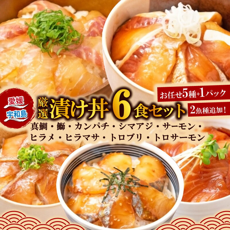 海鮮丼 漬丼 厳選 活締め 全9種 漬け丼 6食 セット 南予ビージョイ 鮭 サーモン 鰤 ブリ 真鯛 鯛 カンパチ 縞鯵 シマアジ あじ ヒラメ ヒラマサ 漬け丼 人気 加工品 海鮮 刺身 時短 米 コメ こめ お手軽 国産 愛媛 宇和島 D010-150005