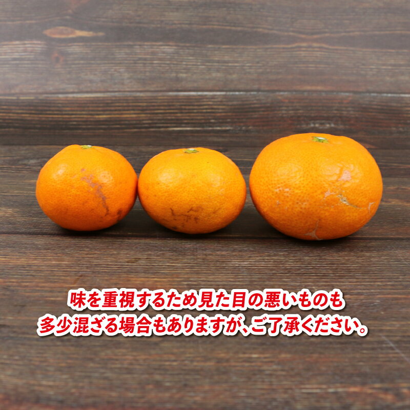 【ふるさと納税】 愛媛みかん 早生温州 9kg サイズ不揃い 家庭用 兵頭農園 先行予約 みかん mikan 愛媛ミカン 愛媛蜜柑 早生 温州 温州みかん 不揃い 果物 くだもの フルーツ 柑橘 蜜柑 産地直送 農家直送 数量限定 国産 愛媛県産 愛媛 宇和島 B012-055001 - 画像2