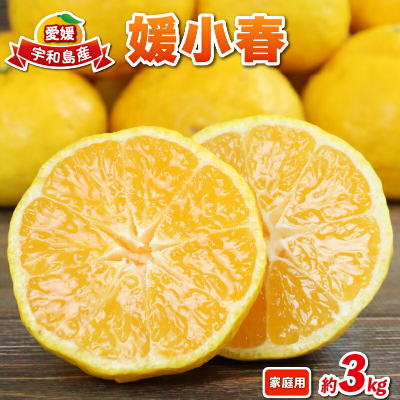 媛小春 3kg 愛媛みかん 兵頭農園 先行予約 みかん mikan 愛媛ミカン 愛媛蜜柑 ひめこはる 愛媛県産 限定 希少 品種 蜜柑 果物 フルーツ 柑橘 高級 産地直送 農家直送 数量限定 国産 愛媛 宇和島 B010-055004