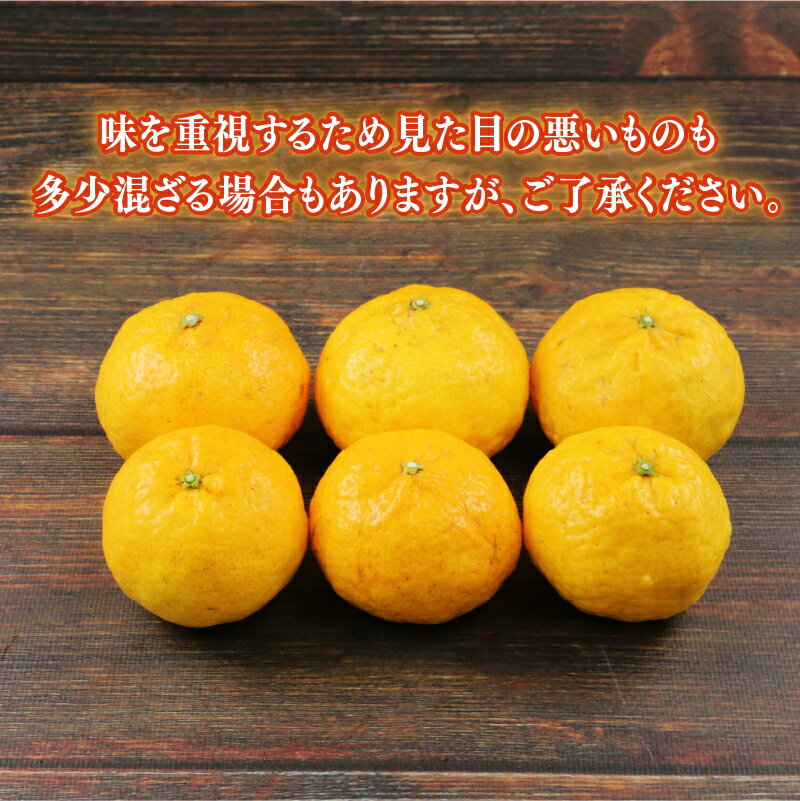 【ふるさと納税】 媛小春 3kg 愛媛みかん 兵頭農園 先行予約 みかん mikan 愛媛ミカン 愛媛蜜柑 ひめこはる 愛媛県産 限定 希少 品種 蜜柑 果物 フルーツ 柑橘 高級 産地直送 農家直送 数量限定 国産 愛媛 宇和島 B010-055004 サムネイル2