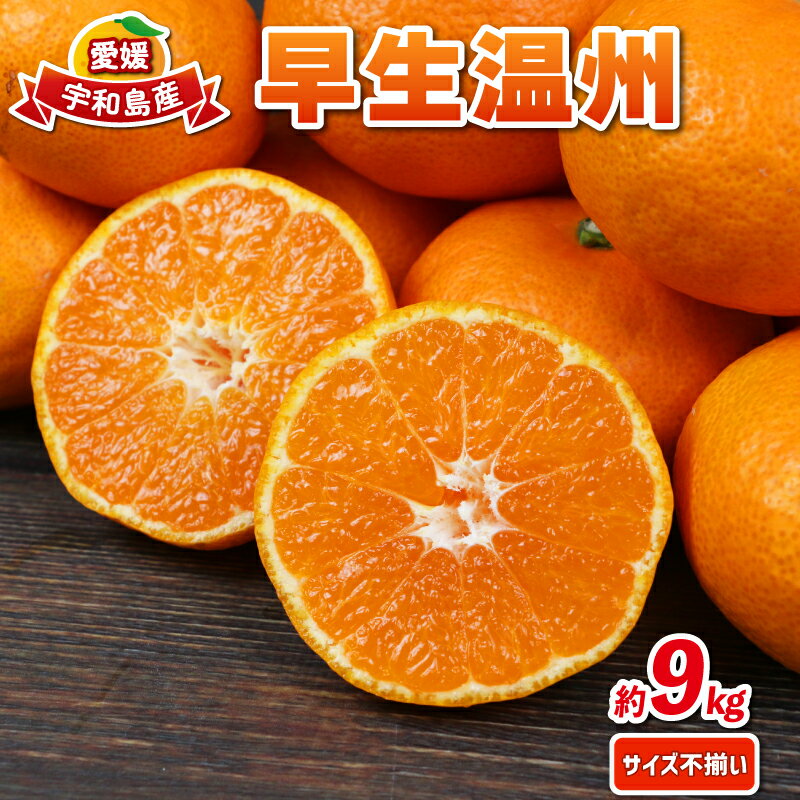 愛媛みかん 早生温州 9kg サイズ不揃い 家庭用 兵頭農園 先行予約 みかん mikan 愛媛ミカン 愛媛蜜柑 早生 温州 温州みかん 不揃い 果物 くだもの フルーツ 柑橘 蜜柑 産地直送 農家直送 数量限定 国産 愛媛県産 愛媛 宇和島 B012-055001