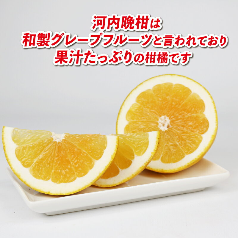 【ふるさと納税】 河内晩柑 9kg 愛媛みかん 兵頭農園 先行予約 家庭用 晩柑 かわちばんかん 和製 グレープフルーツ 愛媛蜜柑 果物 くだもの フルーツ 柑橘 みかん 蜜柑 mikan 産地直送 農家直送 数量限定 国産 愛媛 宇和島 B012-055009 サムネイル3